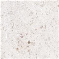 Casgin Beige