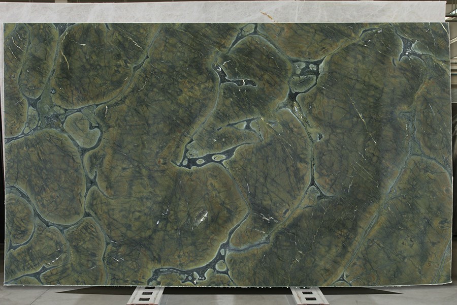 Vitoria Regia Quartzite Polished Slab Vitoria Regia Quartzite Polished Slab